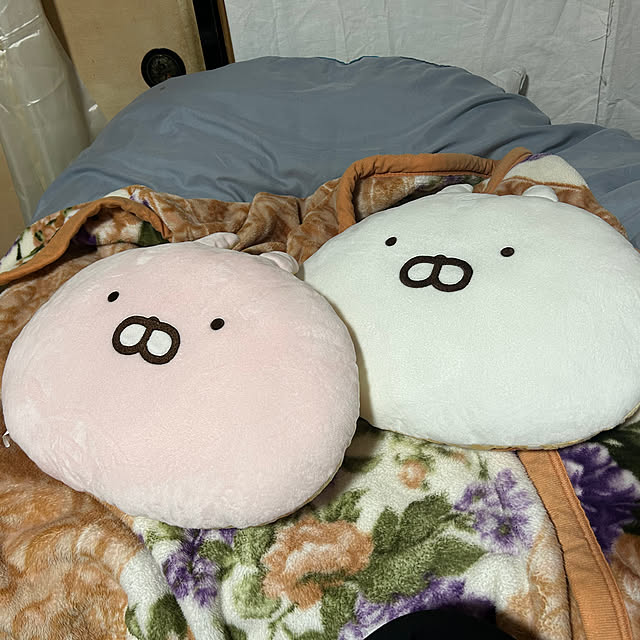 usausaさんの部屋