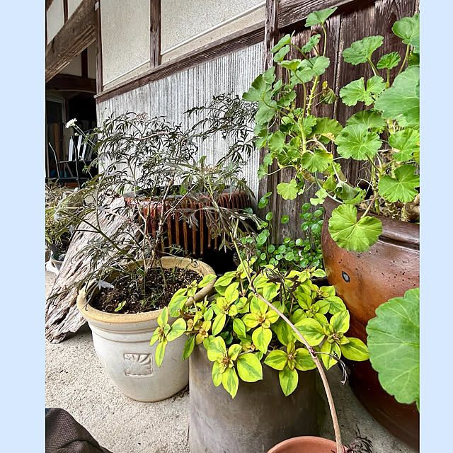 cotaさんの部屋