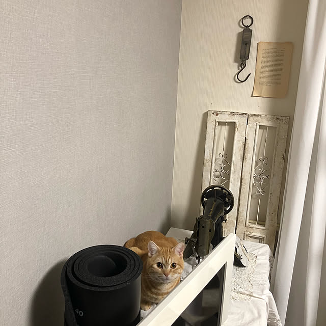 Atelier.mさんの実例写真