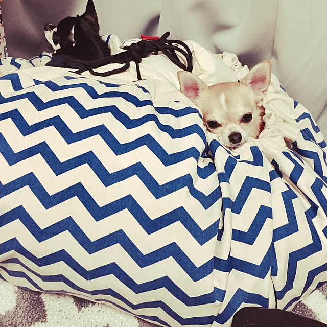 chihoumeさんの実例写真