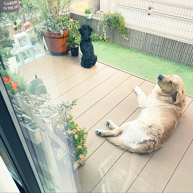 marinkoさんの実例写真