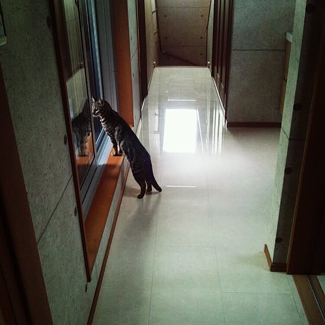 RIN5さんの実例写真