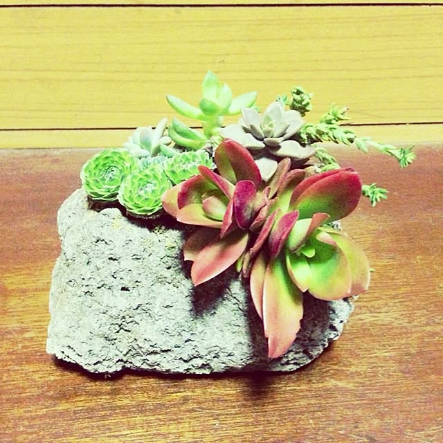 asakoさんの実例写真