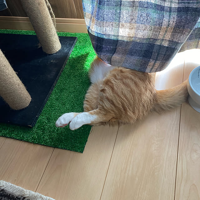 touchinさんの実例写真