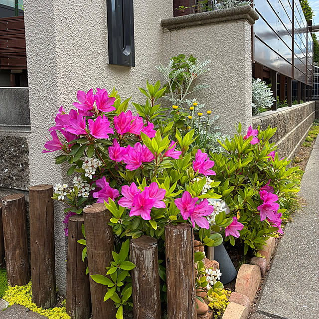 mamimamiさんの実例写真