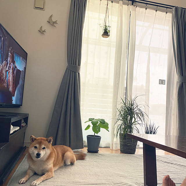 yoshieさんの実例写真