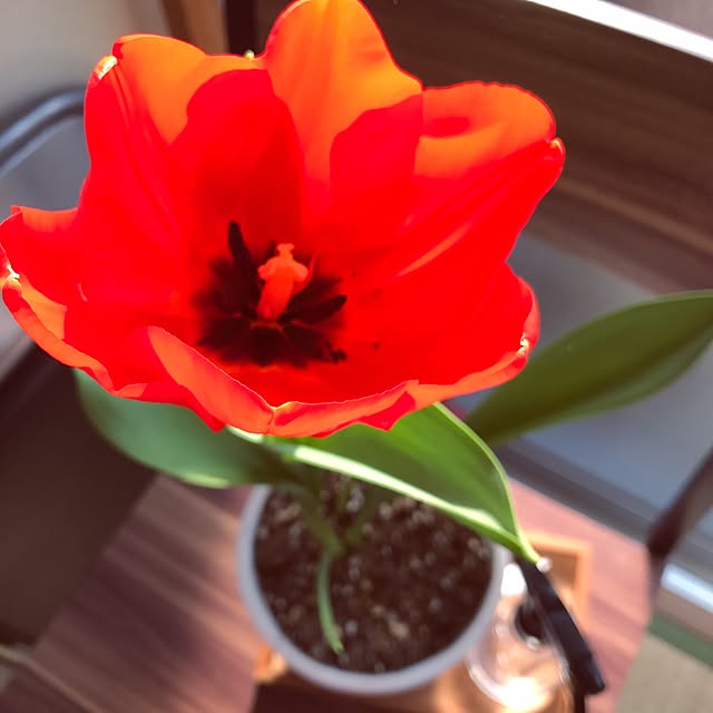 osr_mmさんの実例写真
