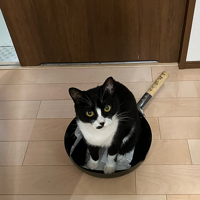 nekoさんの実例写真