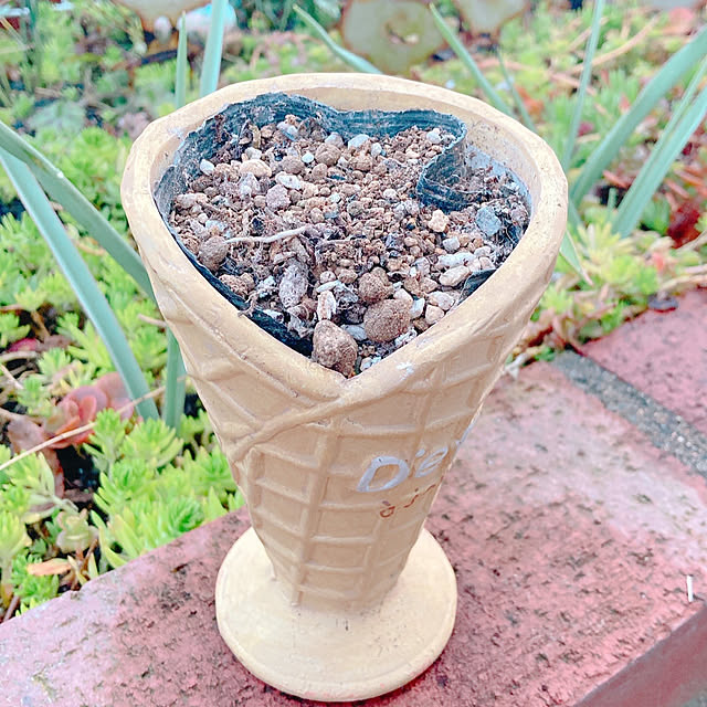 Hanakaさんの部屋