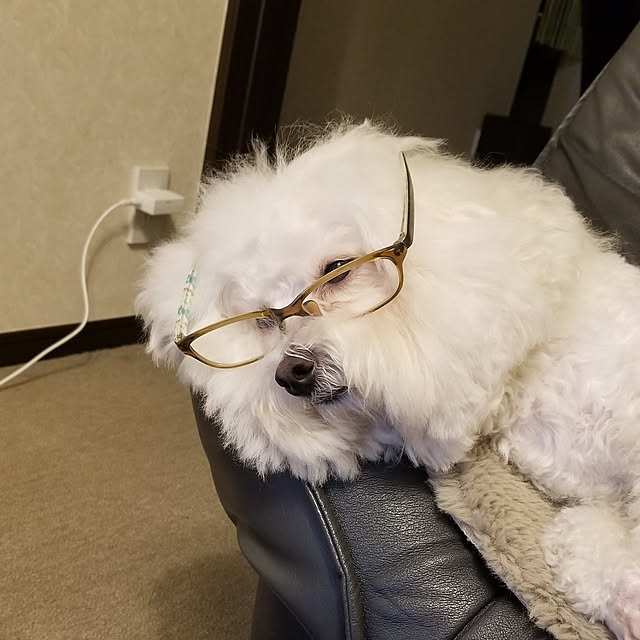 takoさんの実例写真