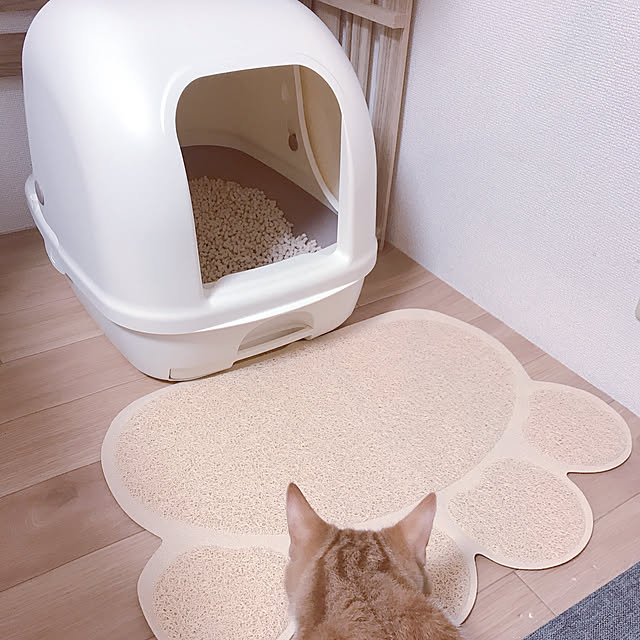 maruさんの実例写真