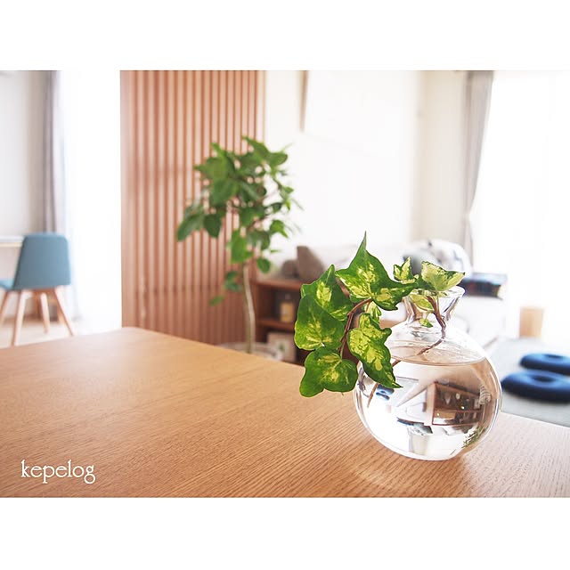 kepeさんの実例写真