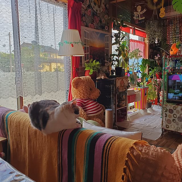 kumutanさんの実例写真