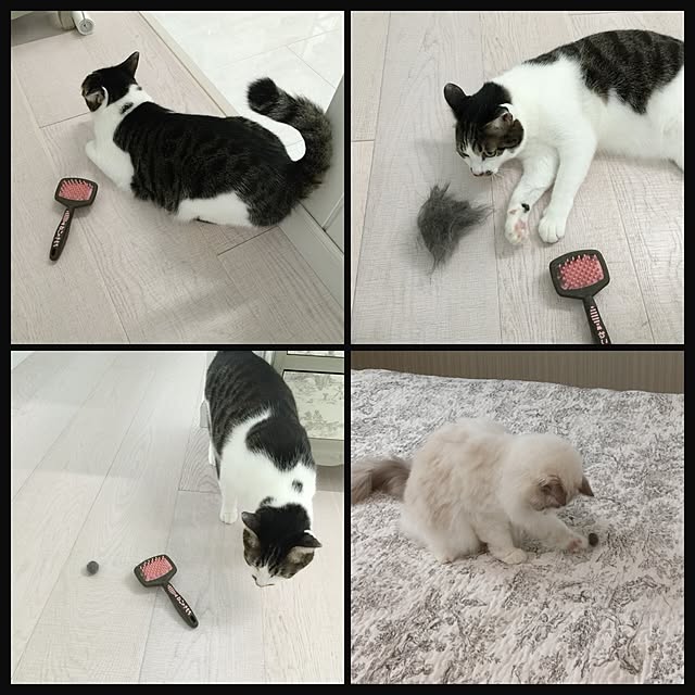 yuchiさんの実例写真