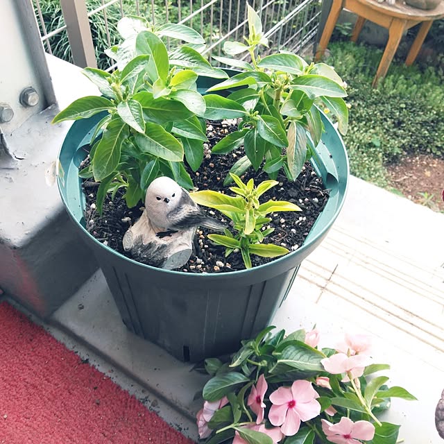 futukoさんの実例写真