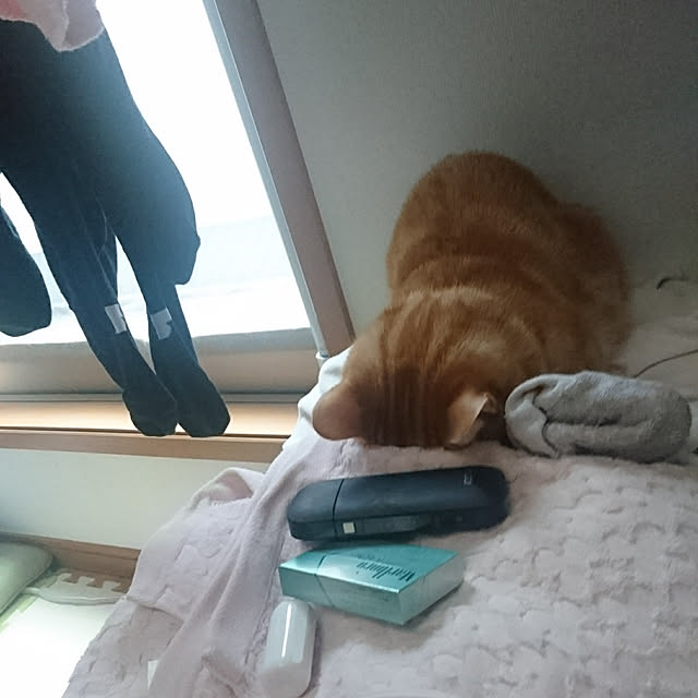 shinobuさんの実例写真