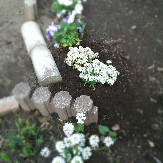 tibiさんの実例写真