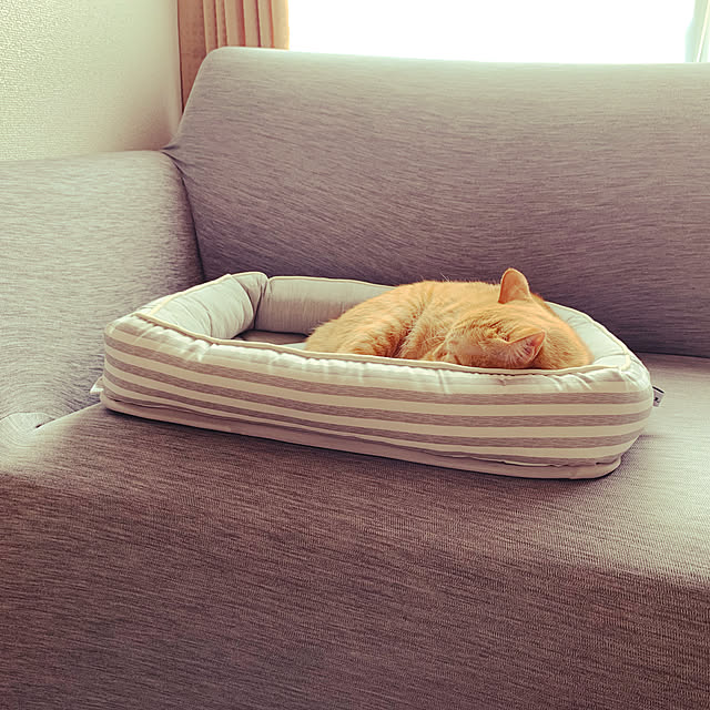 tuyok5さんの実例写真