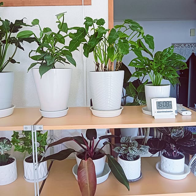 hanachanさんの部屋