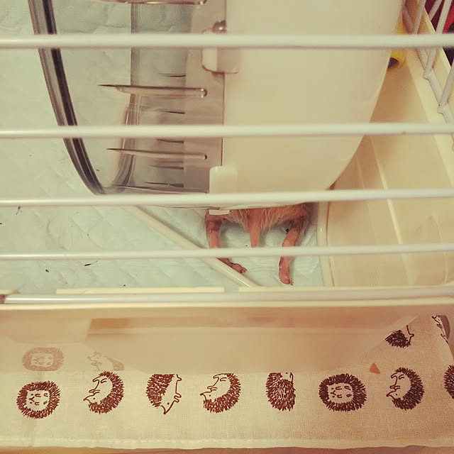 MMYSさんの実例写真