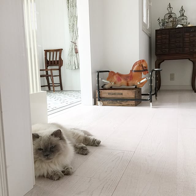 yuchiさんの実例写真