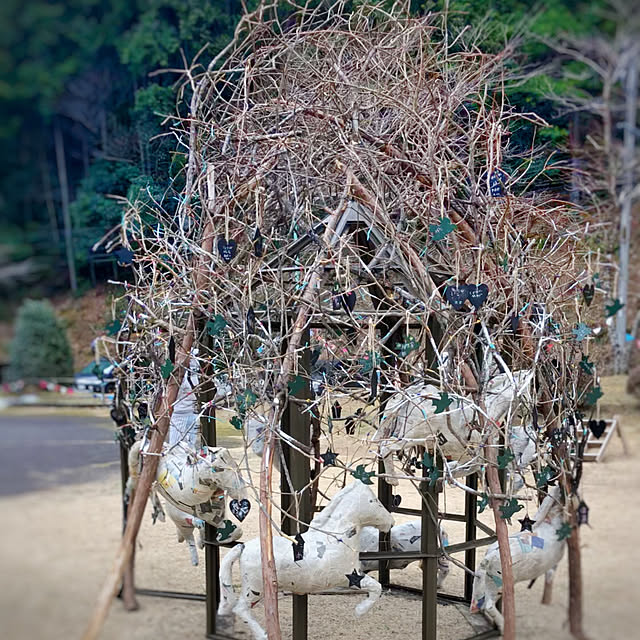 実例写真