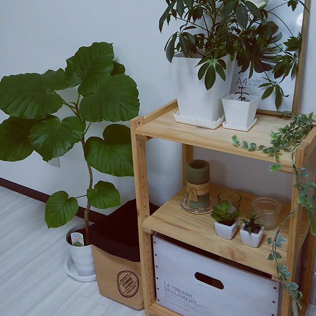 kkkcloverさんの実例写真