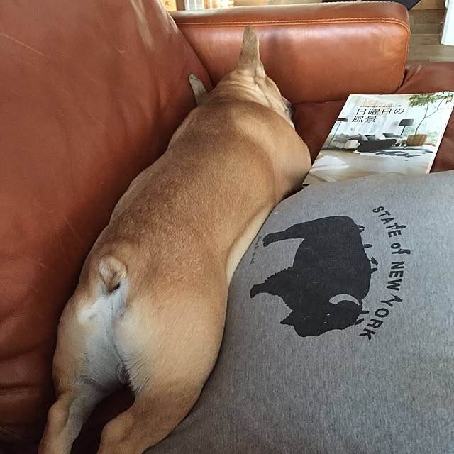 asamiさんの実例写真