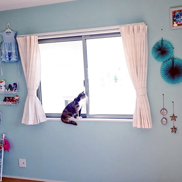 aiさんの実例写真