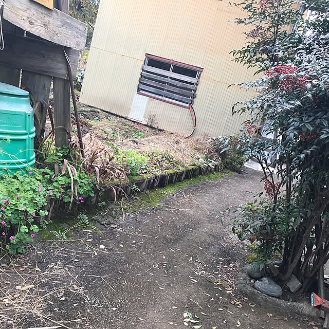 aoinokimiさんの部屋