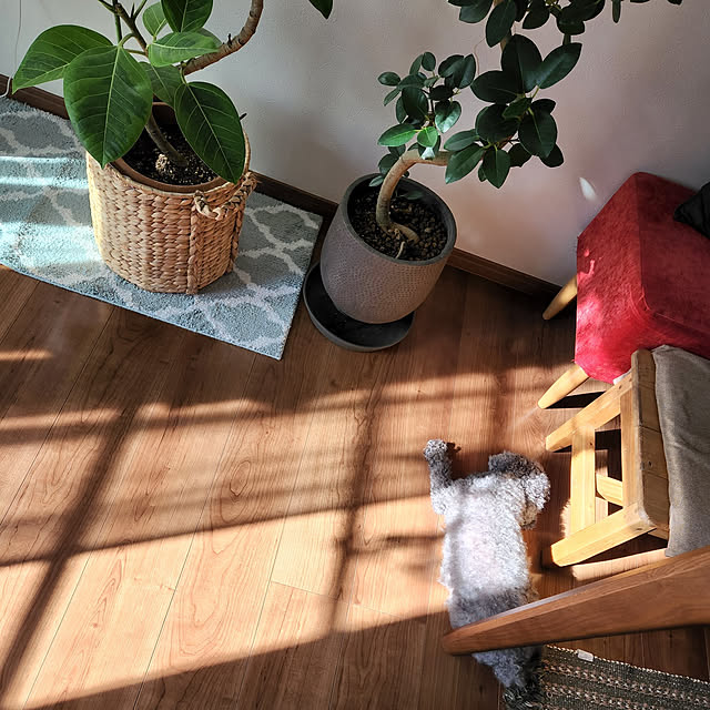 kanonさんの実例写真