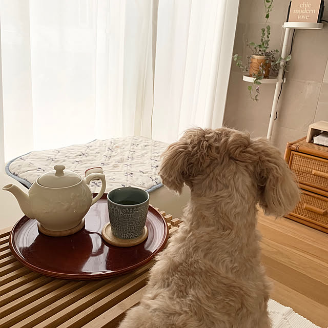 AONAさんの実例写真