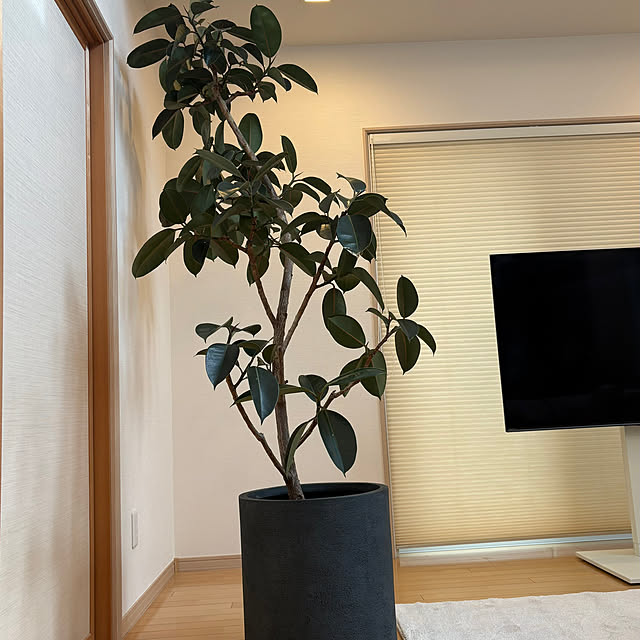 nao525さんの実例写真