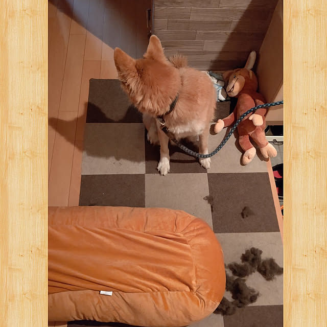 Ri-さんの実例写真