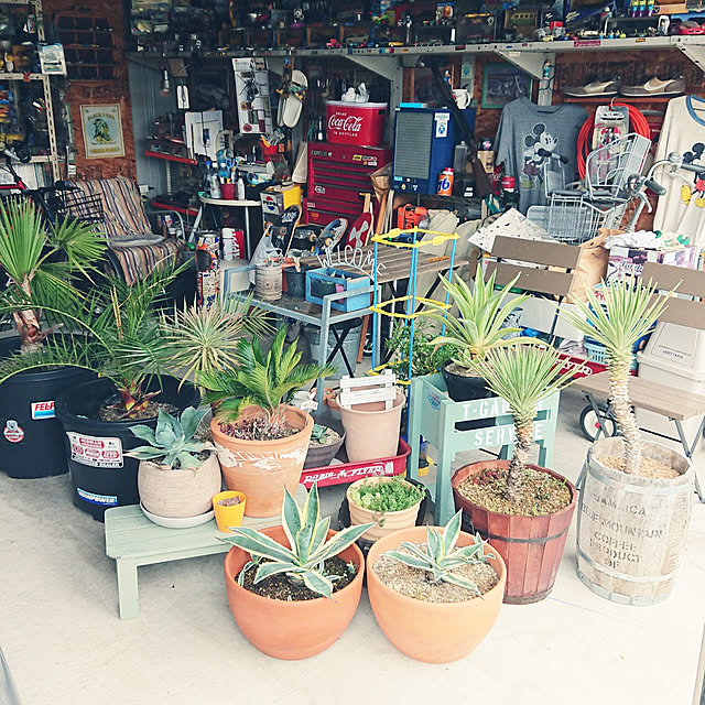 ot-gardenさんの実例写真