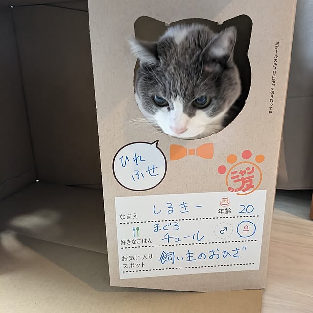 Manamiさんの実例写真