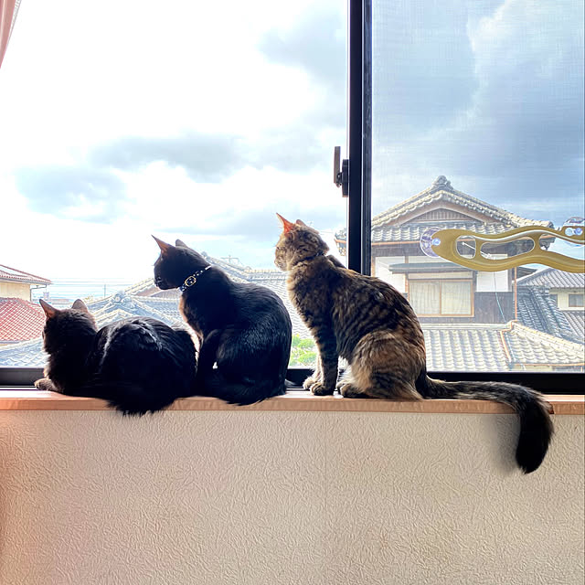 prelumoさんの実例写真
