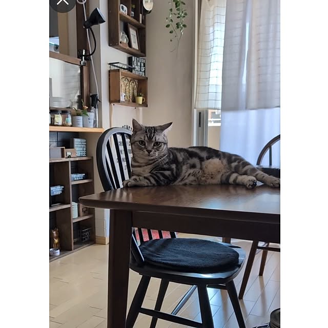 lovepeaceさんの実例写真