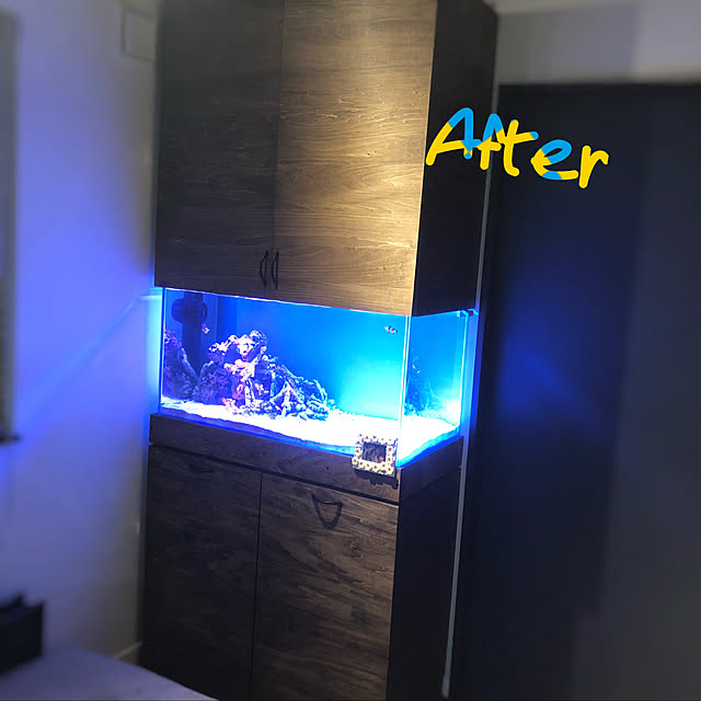 部屋全体/DIYのインテリア実例 - 2018-05-03 02:16:06