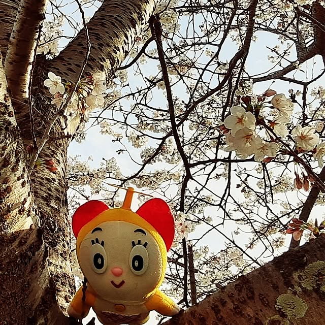 katさんの部屋