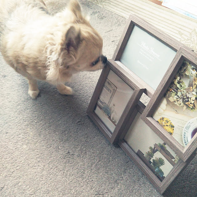 kiraさんの実例写真
