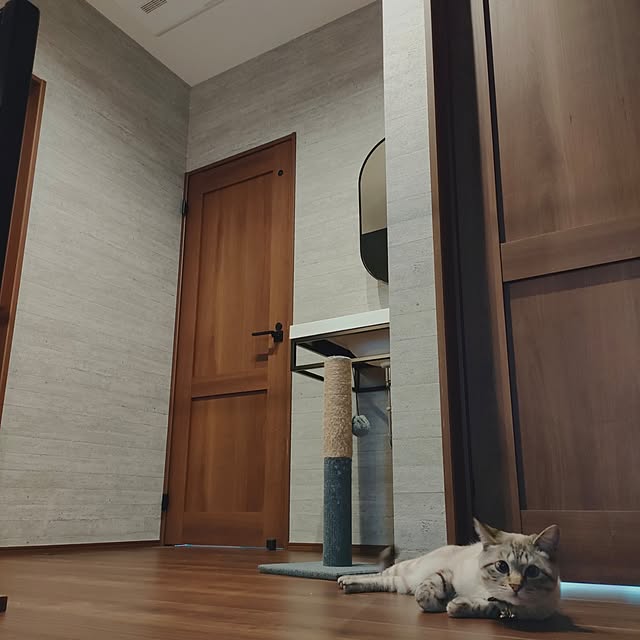 Atelier_tamakiさんの部屋