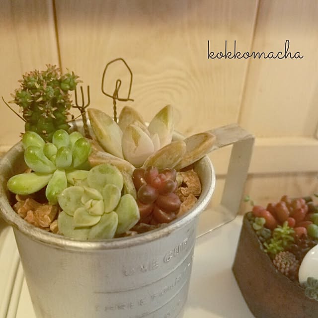 kokkomachaさんの実例写真