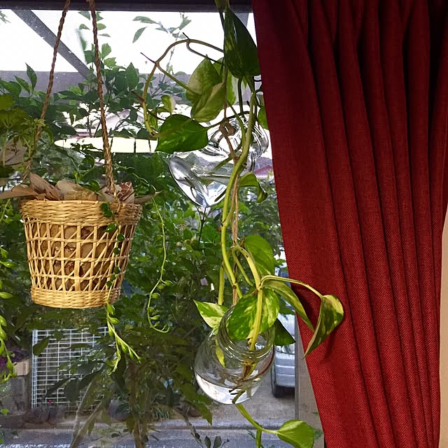 butachanさんの実例写真