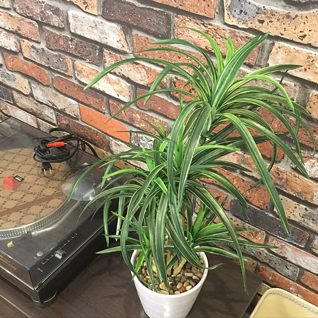 takさんの実例写真