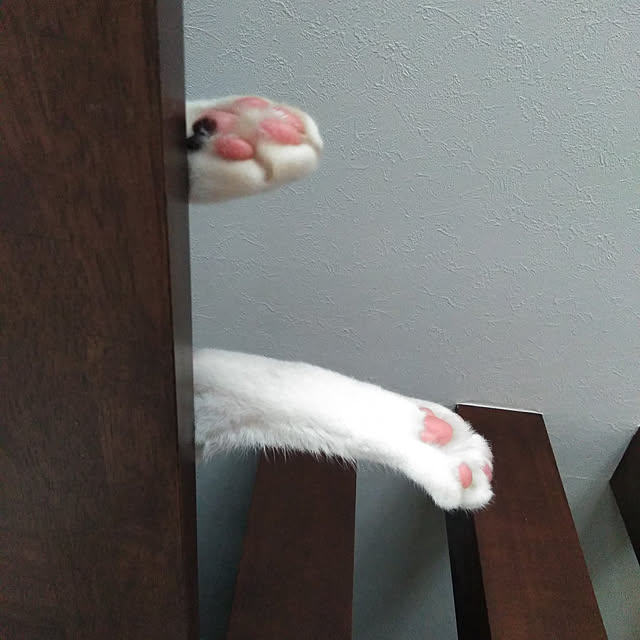 futukoさんの実例写真