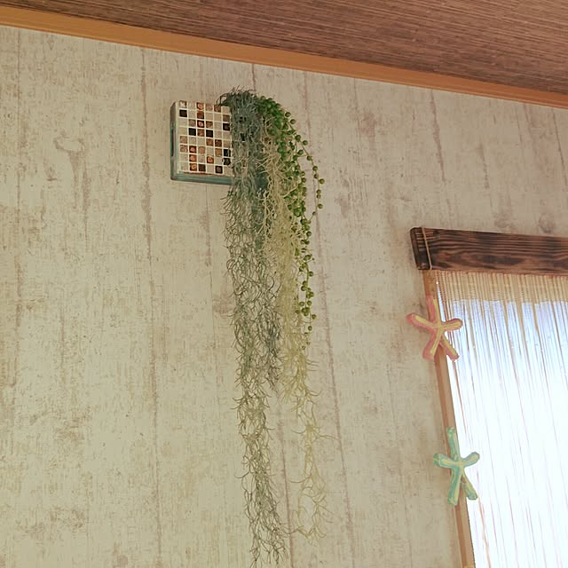 aosoさんの実例写真