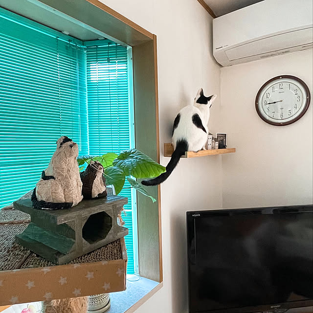 nobikoさんの実例写真