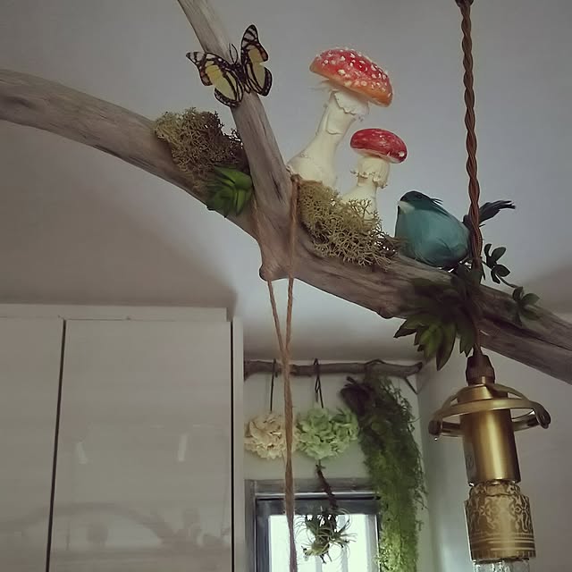 mogu0418さんの実例写真