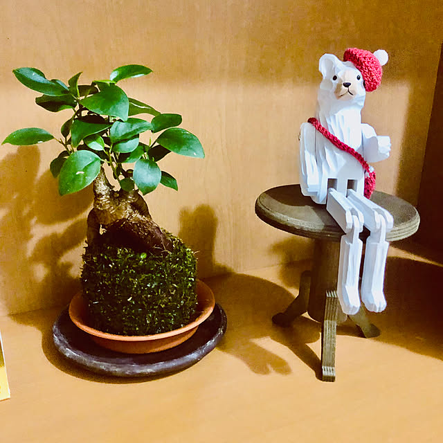 hanachanさんの部屋